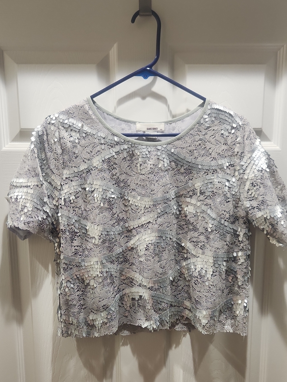 Sans Souci Silver Sequin Lace Crop Top